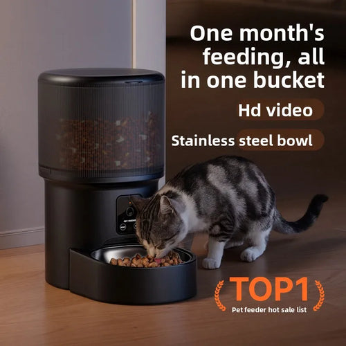 Pet Smart Feeder