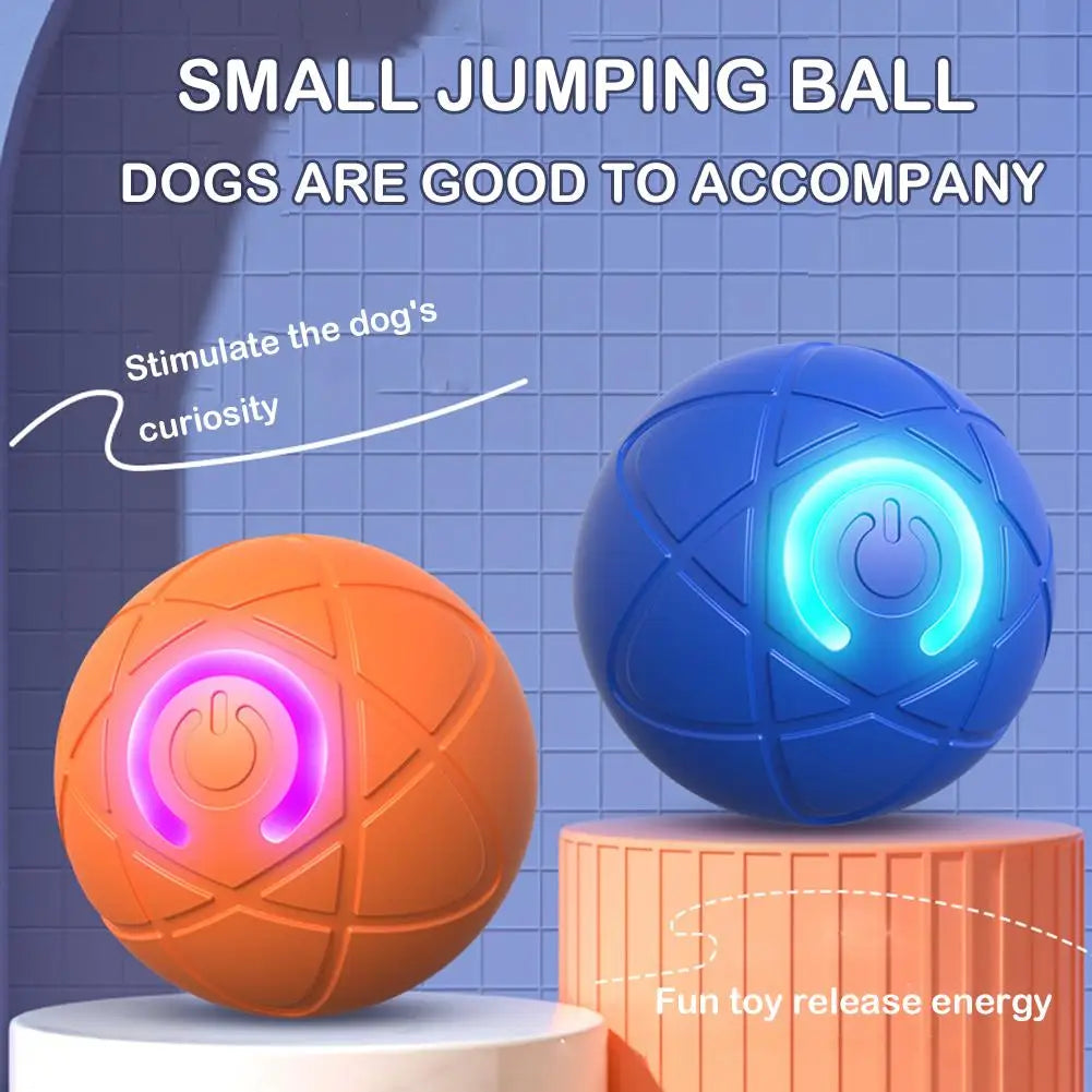 Interactive Dog Ball