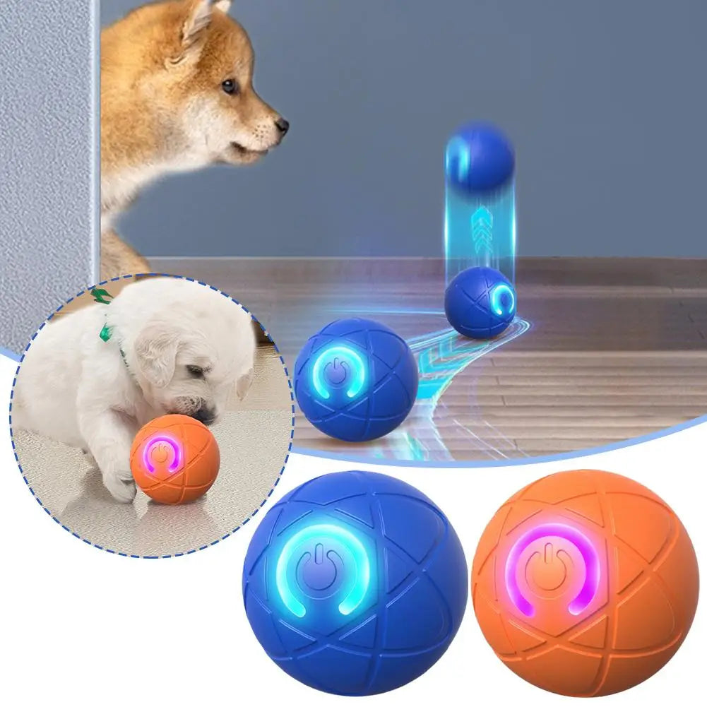 Interactive Dog Ball
