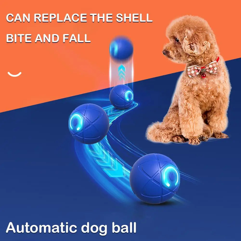 Interactive Dog Ball