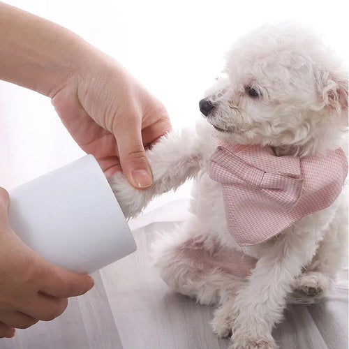 Dog paw washer