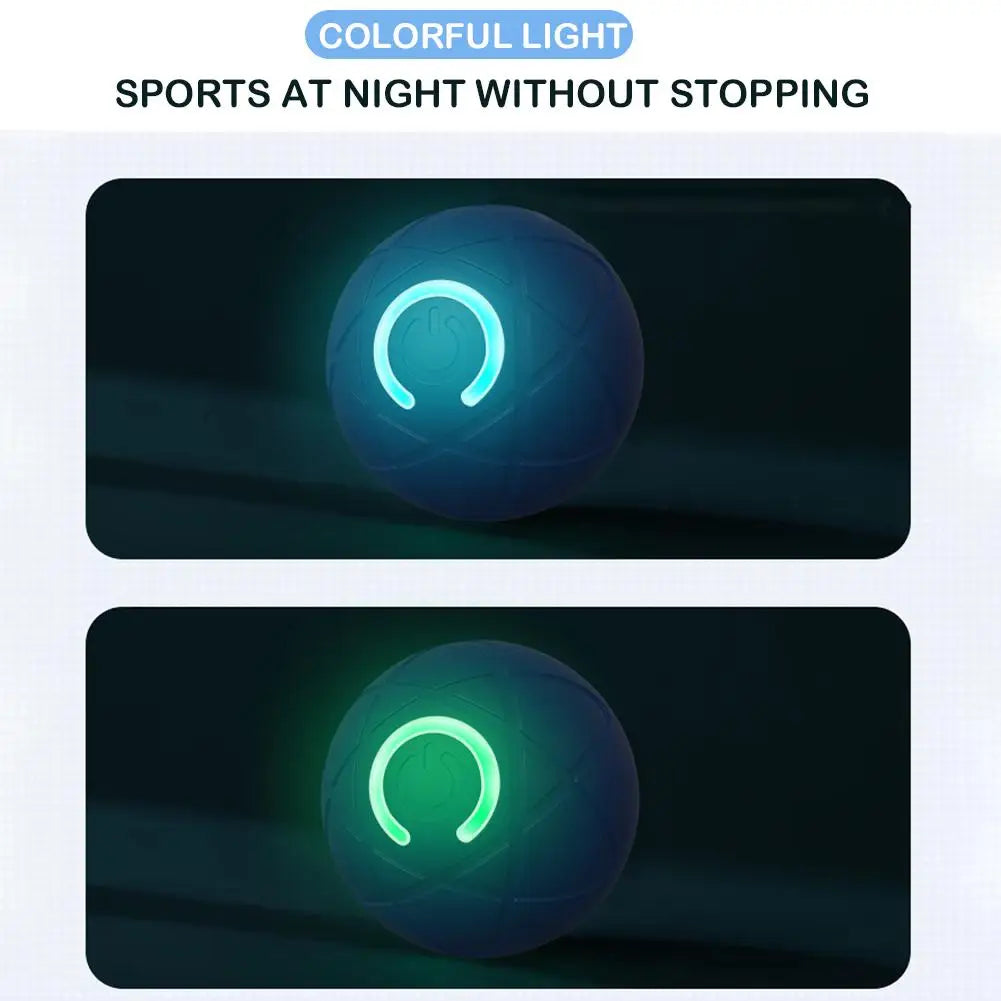 Interactive Dog Ball