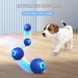 Interactive Dog Ball