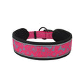 Comfortable Dog Collar