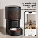 Pet Smart Feeder