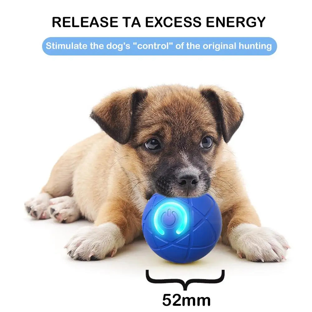 Interactive Dog Ball